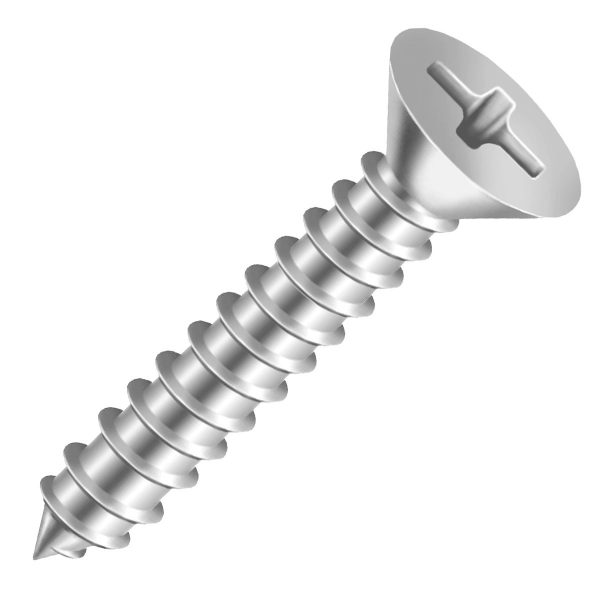 Parafuso Autoatarracante Chata Phillips Inox